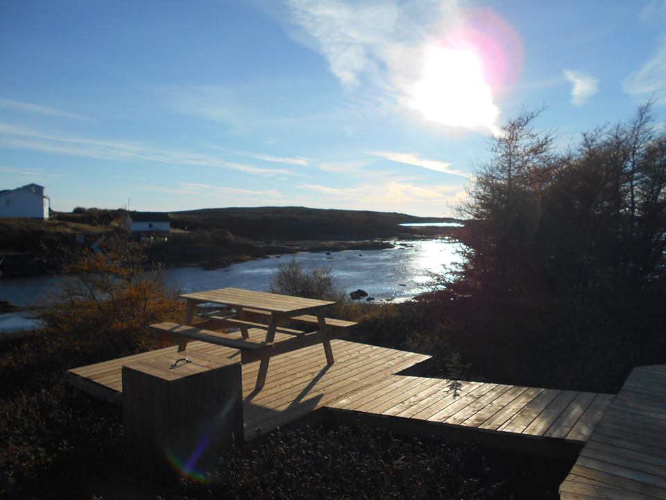 Site plein air du « Nique à Goéland »